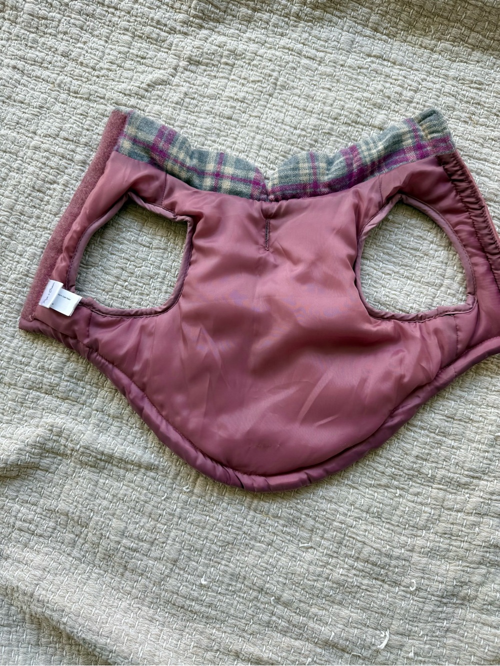 Dog Vest - Picture 4 of 5